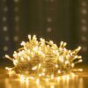 100 LED Decorative Lights