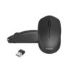 Phlips Wireless Mouse M344